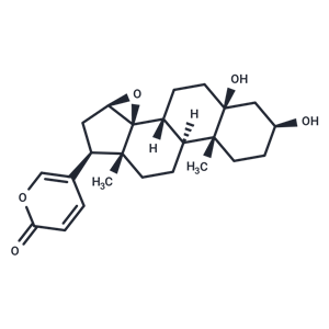 南美蟾毒精,Marinobufogenin