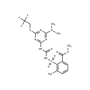 化合物 Triflusulfuron-methyl|T34941|TargetMol