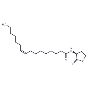 N-cis-hexadec-9Z-enoyl-L-Homoserine lactone|T37736|TargetMol