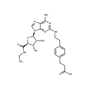 化合物 CGS 21680|T6441L|TargetMol