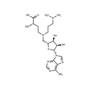 化合物 GSK-2807 free base|T69738|TargetMol