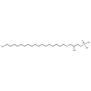 1-Octadecyl Lysophosphatidic Acid|T36768|TargetMol