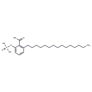 化合物 Ginkgolic acid 2-phosphate|T85072|TargetMol