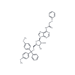 化合物 5’-O-(4,4’-Dimethoxytrityl)-N6-Phenoxyacetyl adenosine|TNU0707|TargetMol