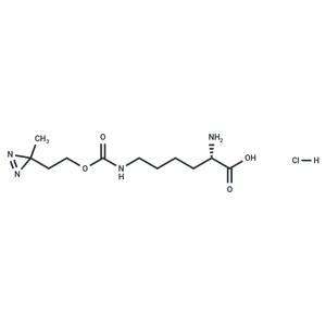 化合物 H-L-Photo-lysine hydrochloride|T18998|TargetMol