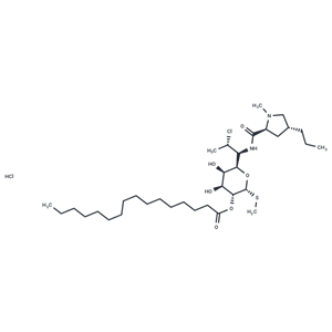 鹽酸克林霉素棕櫚酸酯|T6449|TargetMol