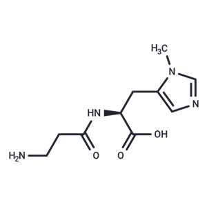 L-鵝肌肽,Anserine