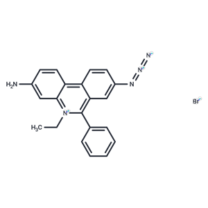 化合物 Ethidium monoazide bromide|T75350|TargetMol