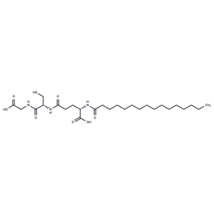 化合物 Glutathione palmitamide|T71441|TargetMol