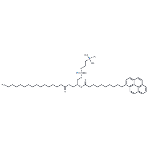 10-Pyrene-PC|T36143|TargetMol