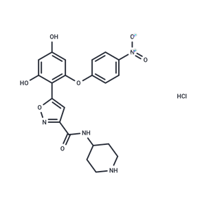 化合物 Hsp90-IN-17 hydrochloride|T72225|TargetMol