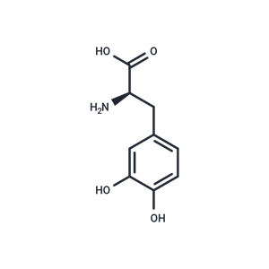 D-DOPA|T37605|TargetMol