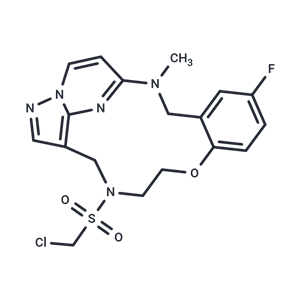 化合物 TRK-IN-12|T62531|TargetMol