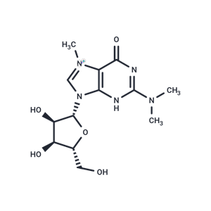 化合物 N2,N2,N7-Trimethyl guanosine|TNU0500|TargetMol