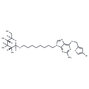 化合物 O6BTG-octylglucoside|T11419|TargetMol