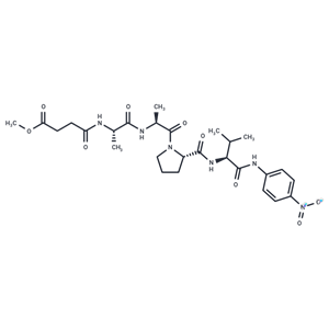 MeOSuc-AAPV-pNA,MeOSuc-AAPV-pNA