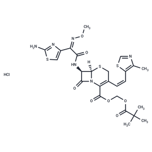 化合物 Cefditoren Pivoxil HCl|T70621|TargetMol