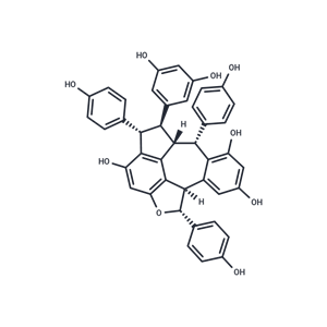 化合物 Ampelopsin C|T30035|TargetMol