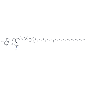 Palmitoyl CoA 鋰鹽|T74038|TargetMol