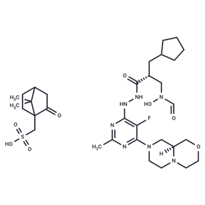 化合物 Lanopepden camsylate|T70642|TargetMol