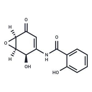 化合物 (+)-DHMEQ|T13462|TargetMol