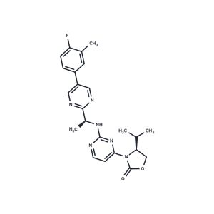 化合物 IDH889|T15551|TargetMol