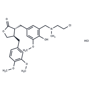 化合物 Arctigenin mustard|T23753|TargetMol