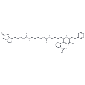 化合物 Lisinopril, epsilon-biotinamidocaproyl-|T71028|TargetMol