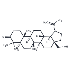 化合物Betulone|TN2446|TargetMol