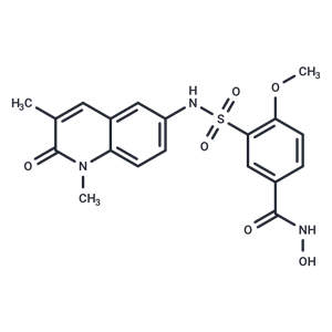 化合物 HDAC8/BRPF1-IN-1|T62171|TargetMol