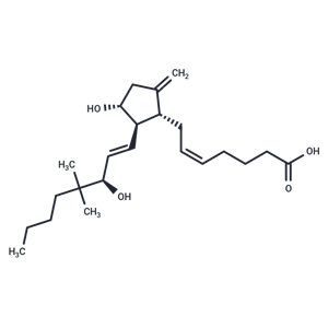 9-deoxy-9-methylene-16,16-dimethyl Prostaglandin E2|T36829|TargetMol