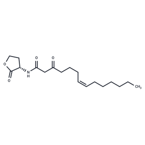 化合物 Δ7(Z)-C14-HSL,Δ7(Z)-C14-HSL