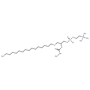 Methylcarbamyl PAF C-16|T36205|TargetMol