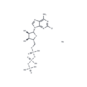 化合物 2-Chloroadenosine 5-triphosphate sodium|T84928|TargetMol