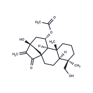 葉含乙酰癭花香茶菜素 A|TN4919|TargetMol