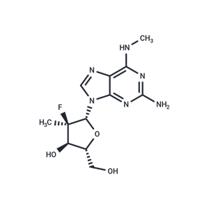 化合物 HCV-IN-31|T9577|TargetMol