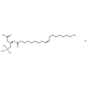 化合物 Oleoyl-L-carnitine chloride|T83872|TargetMol