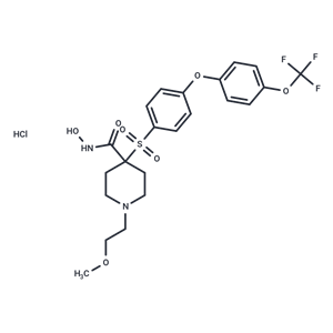 化合物 SD-2590 HCl|T24775|TargetMol