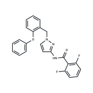 化合物 GSK-5503A|T24112|TargetMol