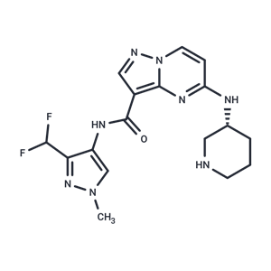 化合物 IRAK4-IN-16|T24174|TargetMol