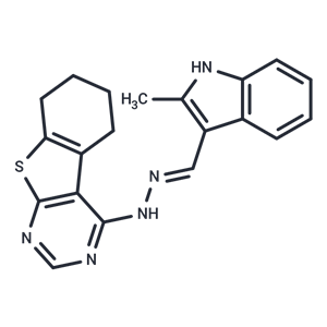 化合物 PIH|T24639|TargetMol