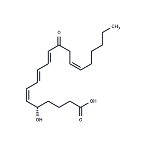 12-oxo Leukotriene B4,12-oxo Leukotriene B4