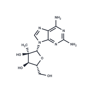 化合物 2,6-Diamino-9-(2-C-methyl-β-D-ribofuranosyl)-9H-purine|TNU0110|TargetMol