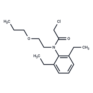 化合物 Pretilachlor|T64754|TargetMol