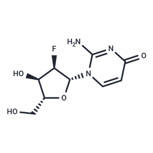 化合物 2’-Deoxy-2’-fluoroisocytidine|TNU0715|TargetMol