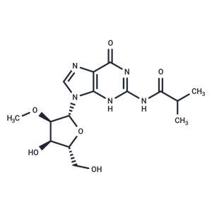 化合物 2’-O-Methyl-N2-isobutyroylguanosine|TNU0941|TargetMol