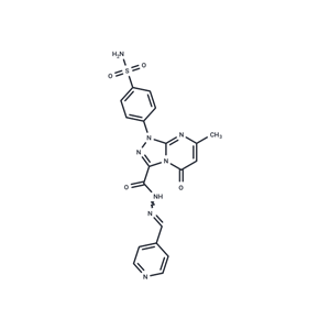 化合物 HCAIX-IN-2,HCAIX-IN-2