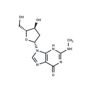 化合物 2’-Deoxy-N2-methylguanosine|TNU1167|TargetMol