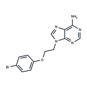 化合物 NSD-IN-3|T87040|TargetMol