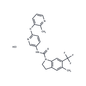 化合物 SB 243213 hydrochloride|T12859|TargetMol